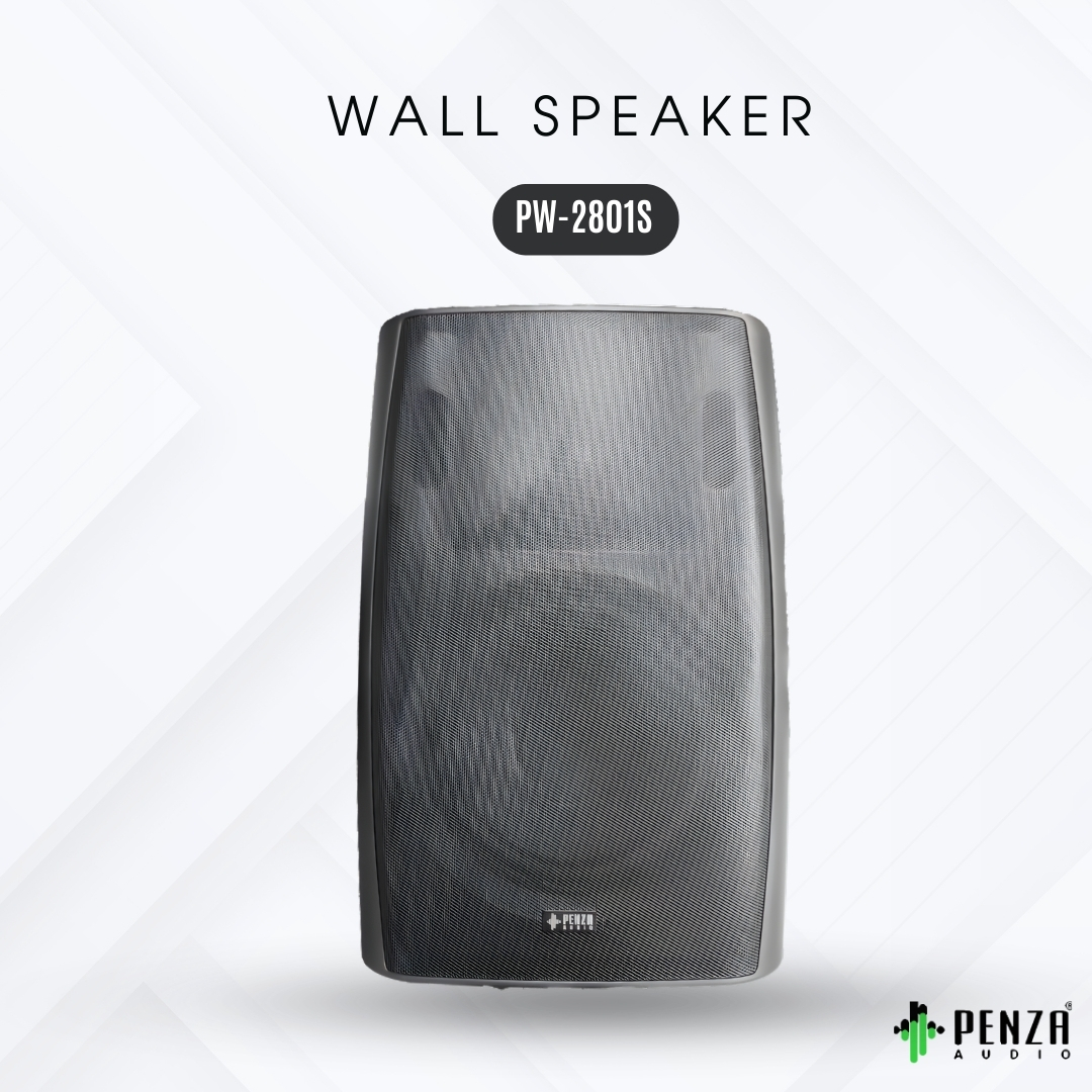 WALL SPEAKERS PW-2801S